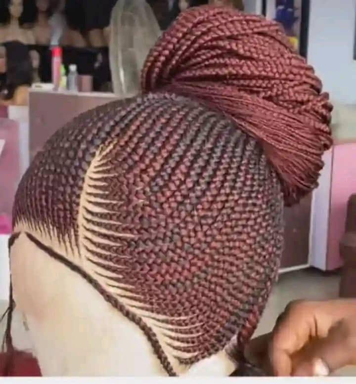 Amani Luxe Braided Wig